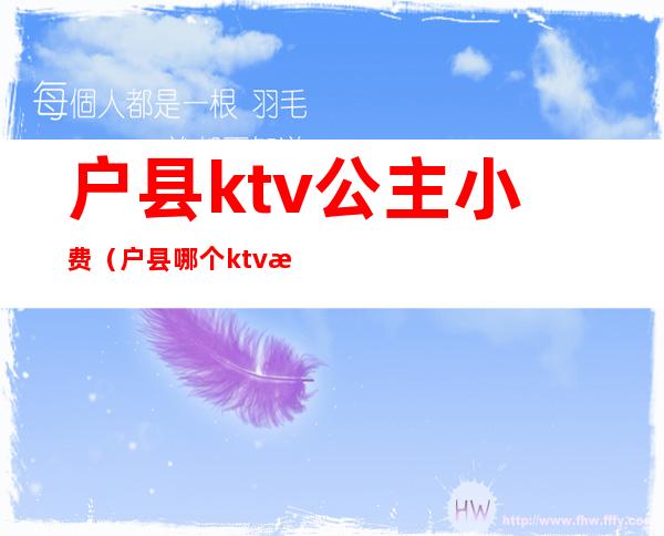 户县ktv公主小费(户县哪个ktv有陪酒的)