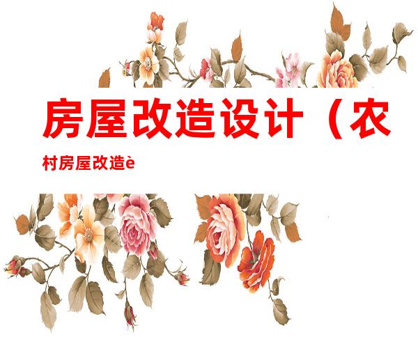 房屋改造设计（农村房屋改造设计）