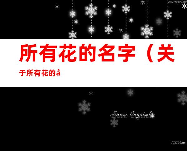 所有花的名字(关于所有花的名字)