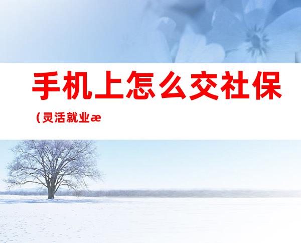 手机上怎么交社保(灵活就业手机上怎么交社保)