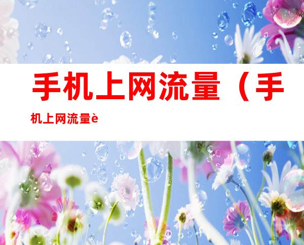手机上网流量(手机上网流量费怎么取消)