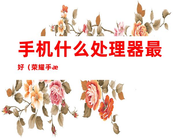 手机什么处理器最好(荣耀手机什么处理器最好)