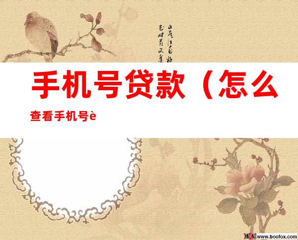 手机号贷款(怎么查看手机号贷款)