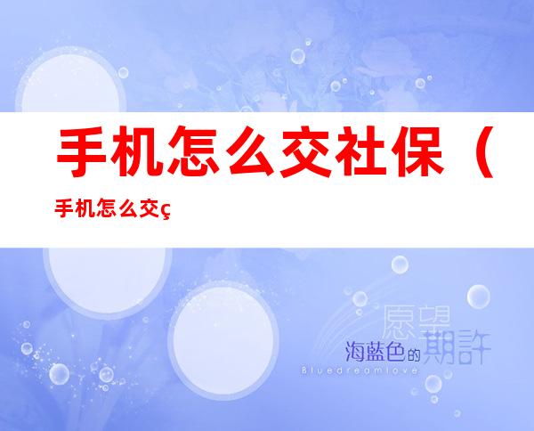 手机怎么交社保(手机怎么交社保医保)