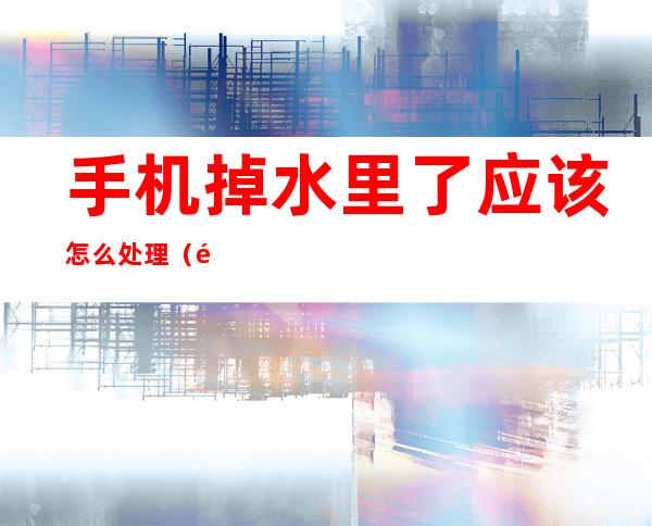 手机掉水里了应该怎么处理(防水手机掉水里了应该怎么处理)