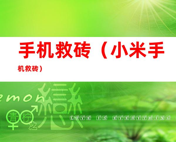 手机救砖（小米手机救砖）