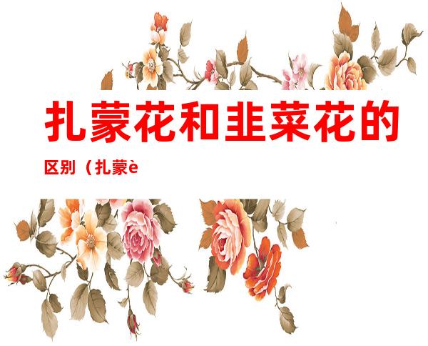 扎蒙花和韭菜花的区别（扎蒙花好吃吗）