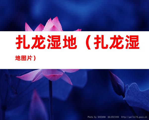 扎龙湿地(扎龙湿地图片)