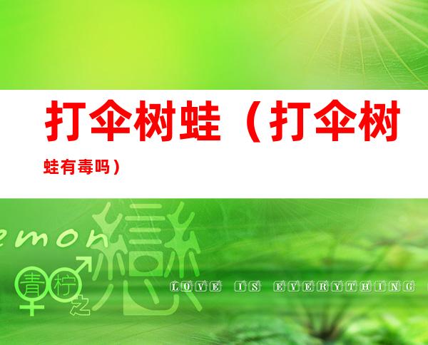 打伞树蛙(打伞树蛙有毒吗)