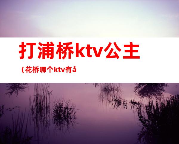 打浦桥ktv公主(花桥哪个ktv有公主)
