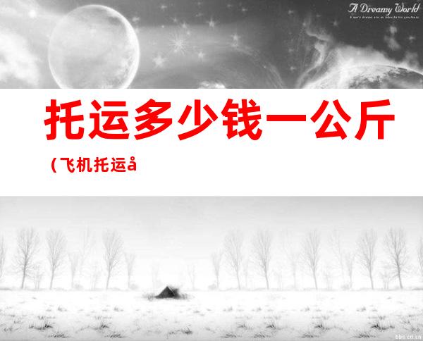 托运多少钱一公斤(飞机托运多少钱一公斤)