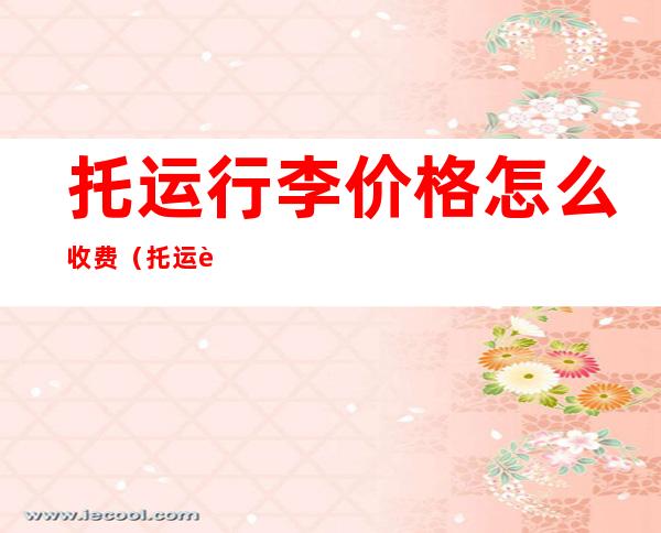 托运行李价格怎么收费(托运行李价格怎么收费坐飞机)