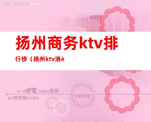扬州商务ktv排行榜(扬州ktv消费水平)