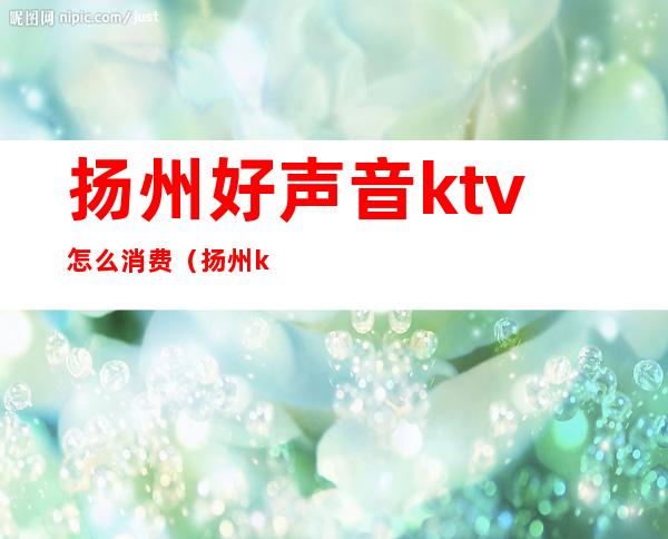 扬州好声音ktv怎么消费(扬州ktv消费水平)