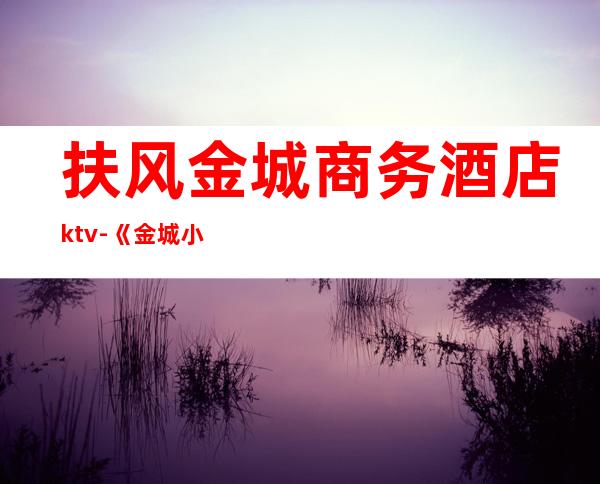 扶风金城商务酒店ktv-《金城小子》影评