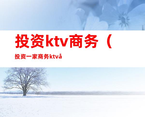 投资ktv商务(投资一家商务ktv多少钱)