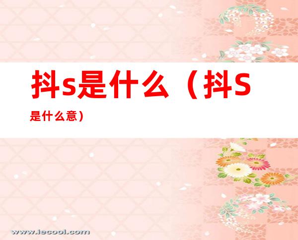 抖s是什么(抖S是什么意)