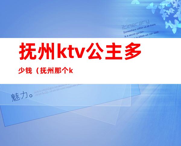 抚州ktv公主多少钱(抚州那个ktv公主小费高)