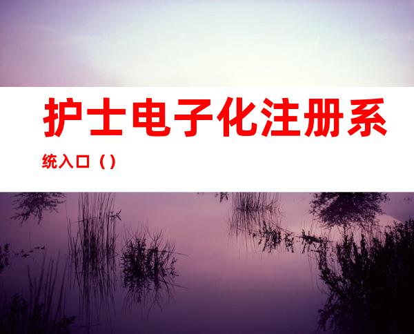 护士电子化注册系统入口()