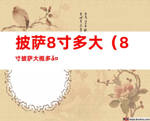 披萨8寸多大(8寸披萨大概多大)