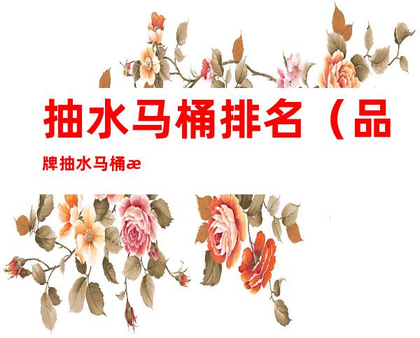 抽水马桶排名（品牌抽水马桶排名）