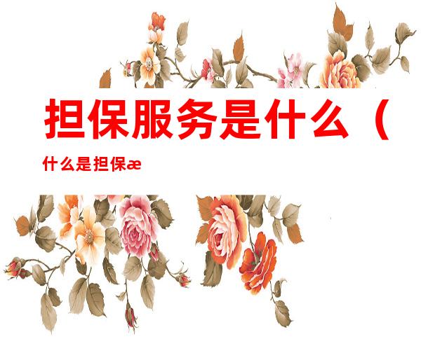 担保服务是什么(什么是担保服务费)