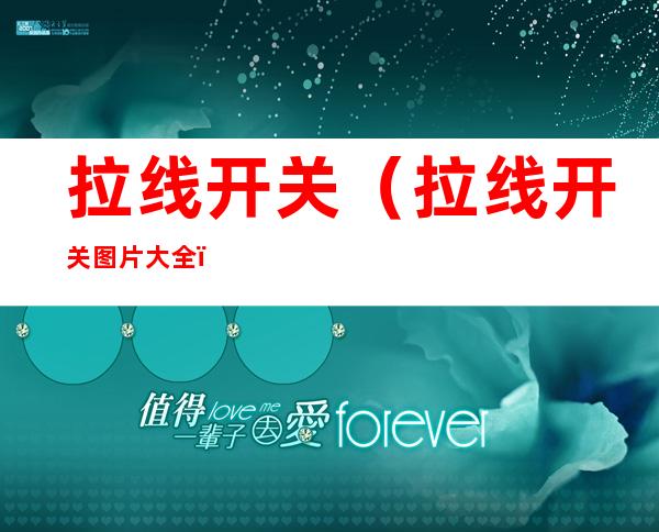 拉线开关(拉线开关图片大全)