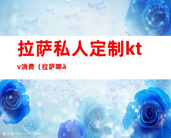拉萨私人定制ktv消费（拉萨哪个ktv生意好）