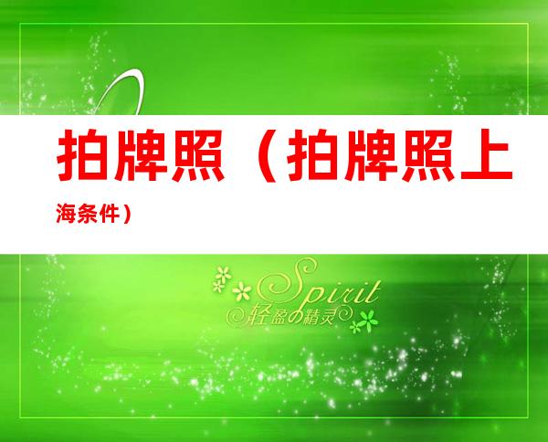 拍牌照(拍牌照上海条件)