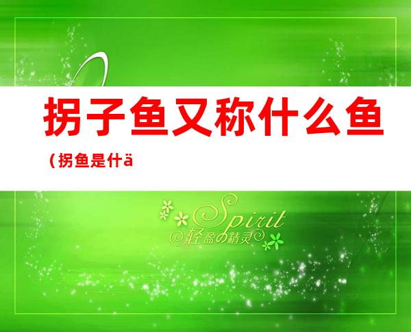 拐子鱼又称什么鱼(拐鱼是什么鱼)