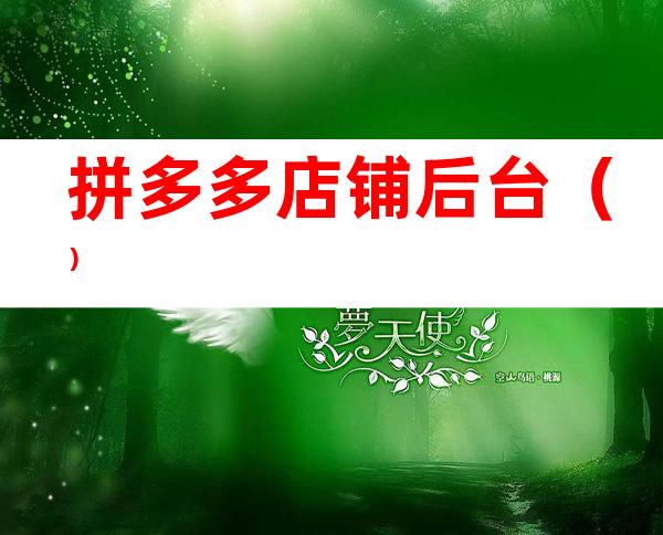 拼多多店铺后台()
