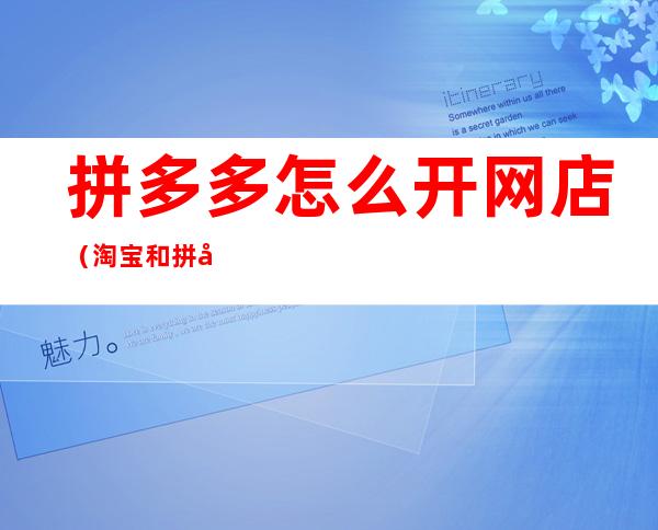 拼多多怎么开网店(淘宝和拼多多怎么开网店)