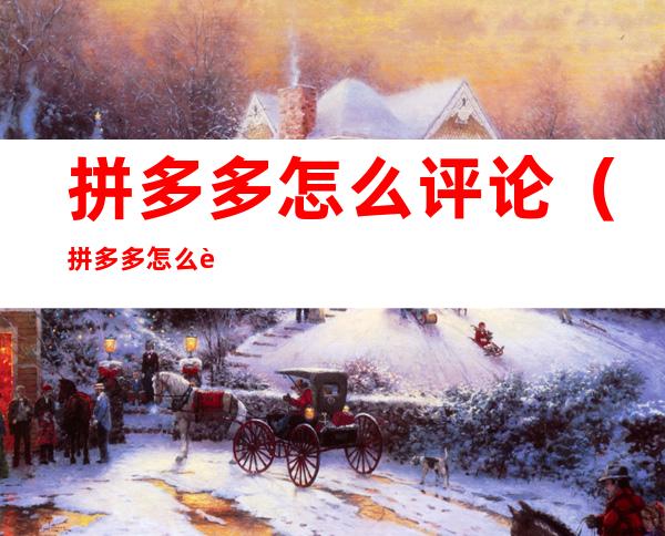 拼多多怎么评论(拼多多怎么评论商家)