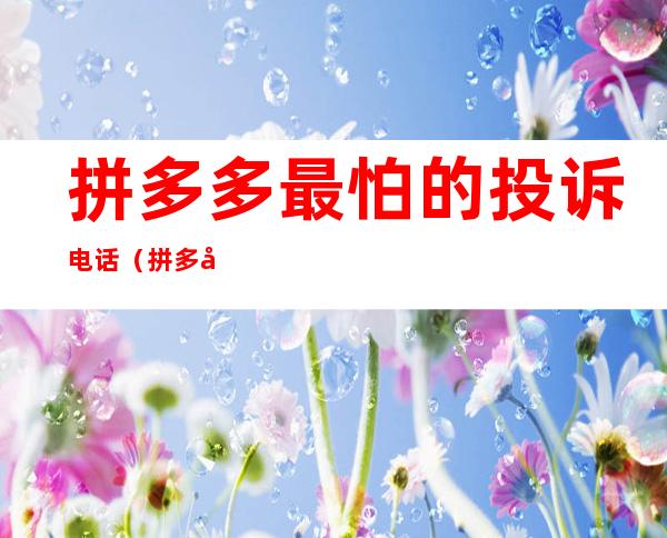 拼多多最怕的投诉电话(拼多多最高级别投诉电话)