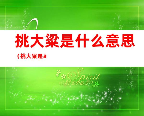 挑大粱是什么意思(挑大粱是什么意思网络用语)
