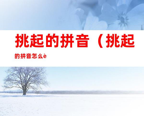 挑起的拼音（挑起的拼音怎么读）
