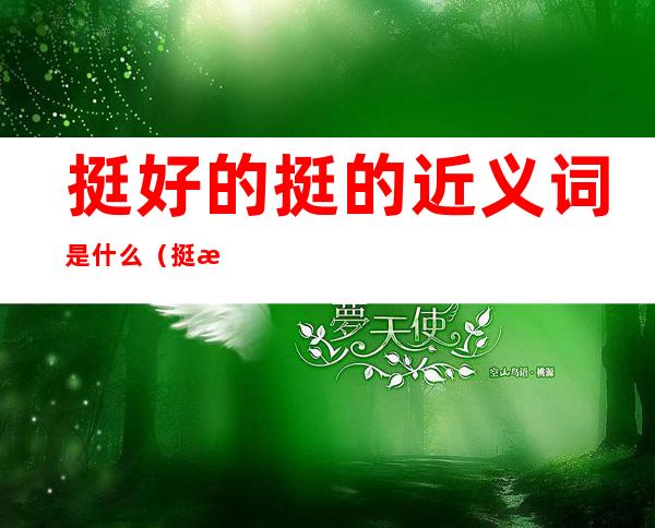 挺好的挺的近义词是什么(挺有意思的挺的近义词是什么)