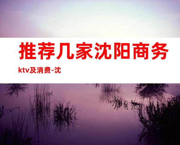 推荐几家沈阳商务ktv及消费-沈阳商务KTV哪家好玩