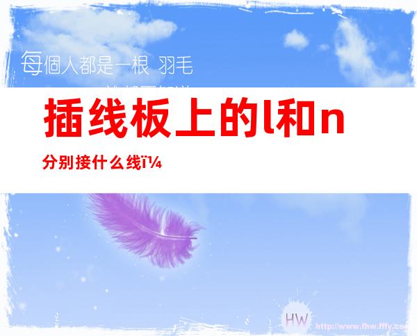 插线板上的l和n分别接什么线(电插板接L和N线吗)