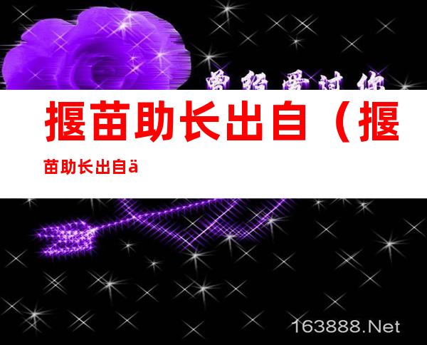 揠苗助长出自(揠苗助长出自于哪里)