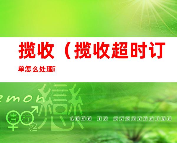 揽收(揽收超时订单怎么处理)