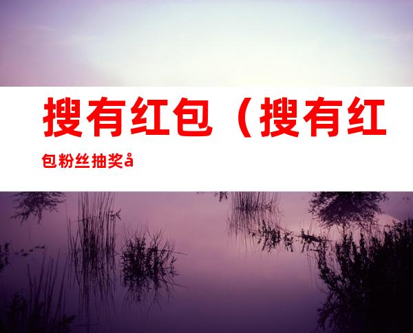 搜有红包(搜有红包粉丝抽奖小助手)