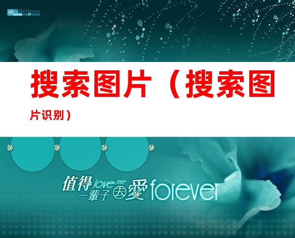 搜索图片(搜索图片识别)