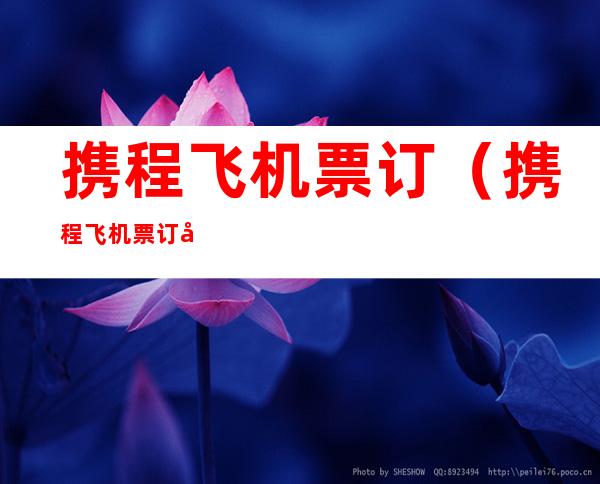 携程飞机票订（携程飞机票订单生成器）
