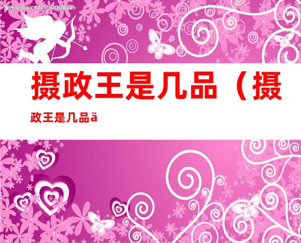 摄政王是几品(摄政王是几品俸禄)
