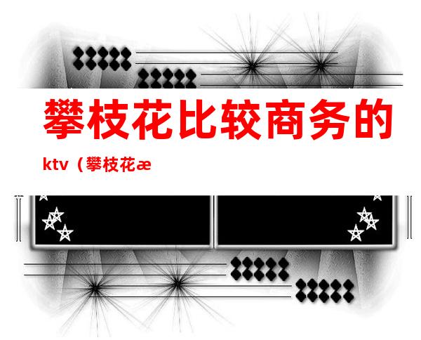 攀枝花比较商务的ktv(攀枝花有哪些高档餐厅)