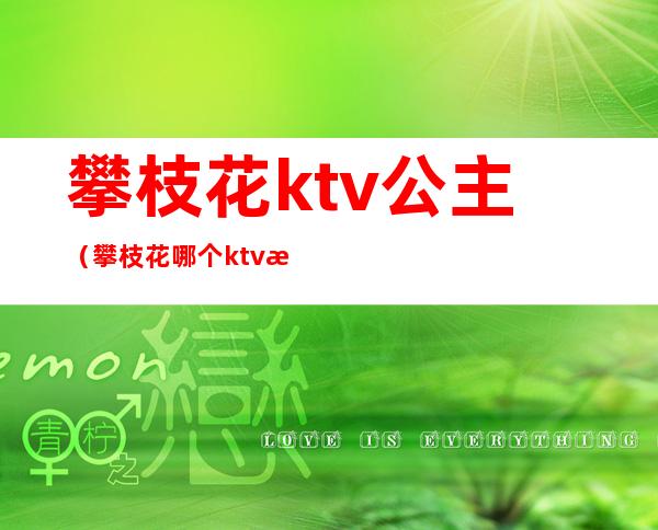 攀枝花ktv公主(攀枝花哪个ktv有陪酒女)