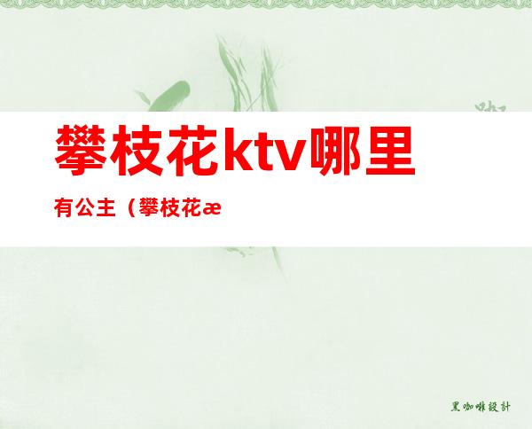 攀枝花ktv哪里有公主(攀枝花最好的ktv)