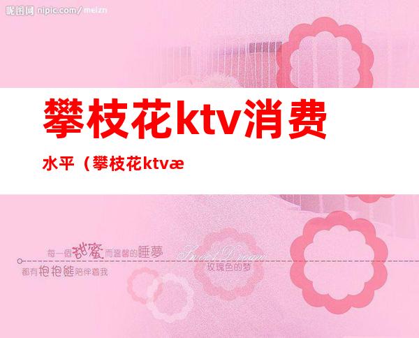 攀枝花ktv消费水平(攀枝花ktv消费水平高吗)