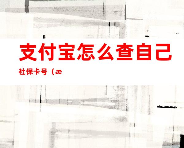 支付宝怎么查自己社保卡号(怎样用支付宝查社保卡号)
